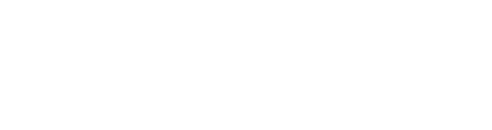 Logo LBIH
