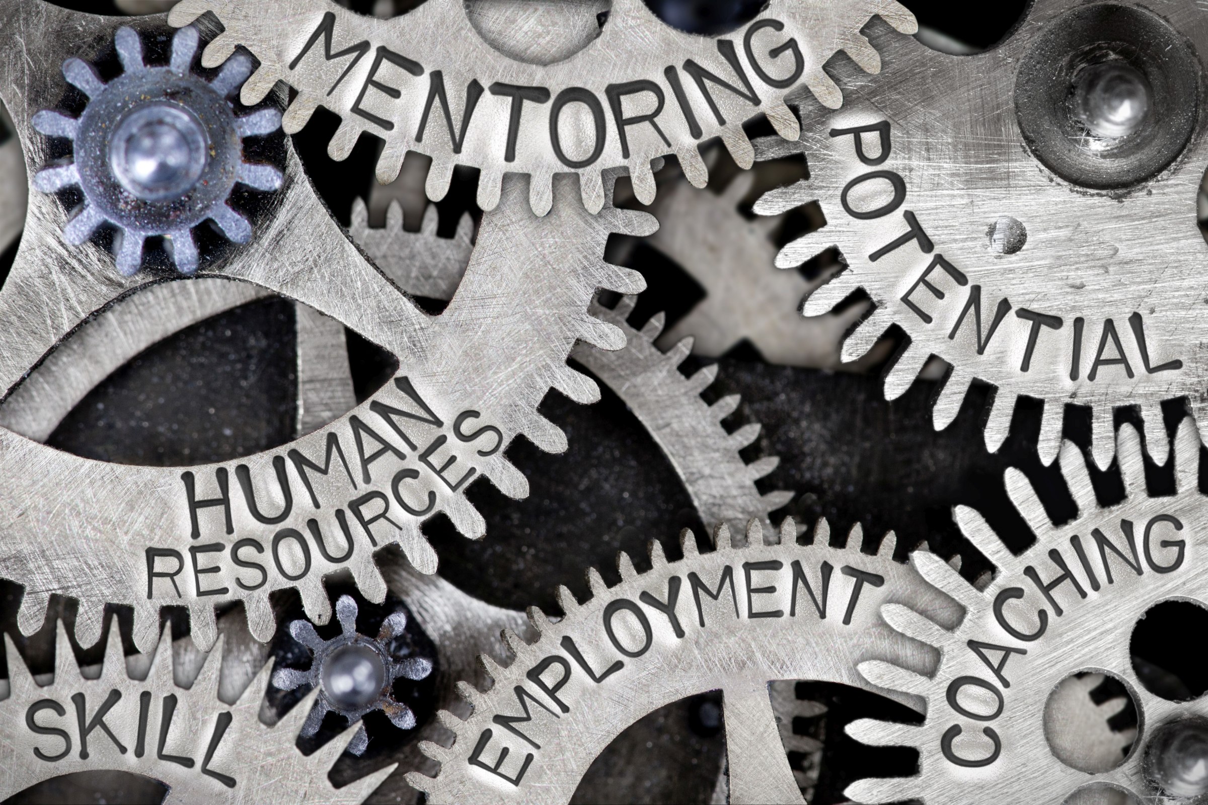 Personalmanagement (B. A.) Personalmanagement (B. A.)